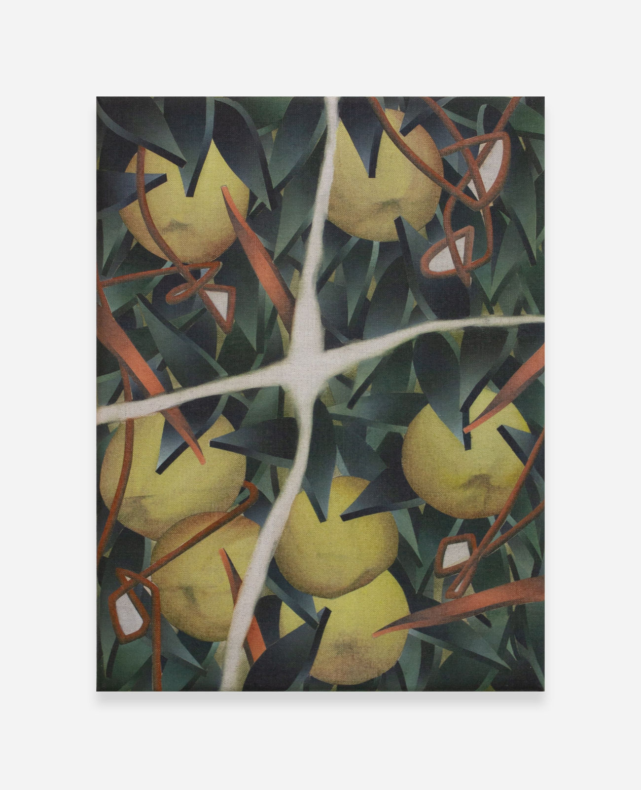 László von Dohnányi, A bunch of yellow apples, 2023