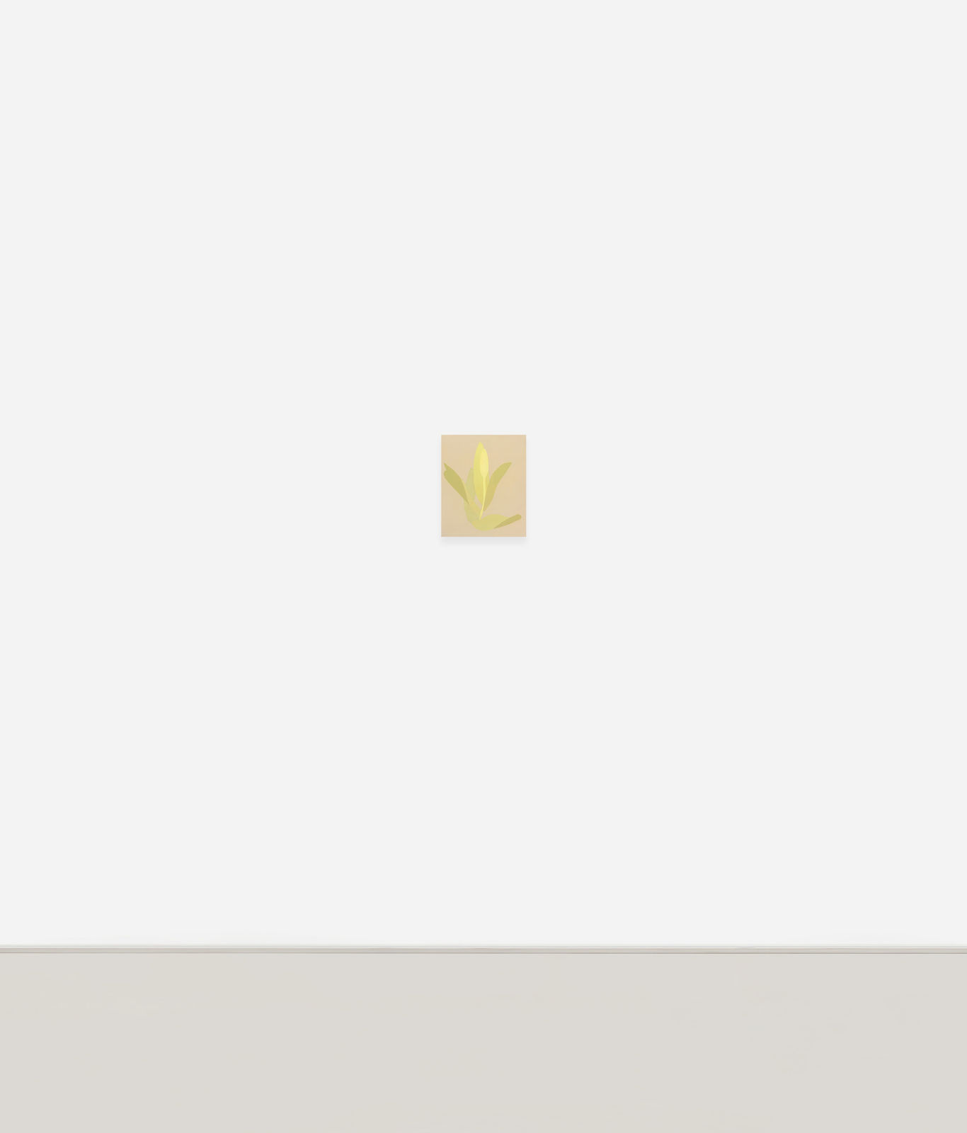 Manuel Stehli, Untitled (Tulip 2), 2023