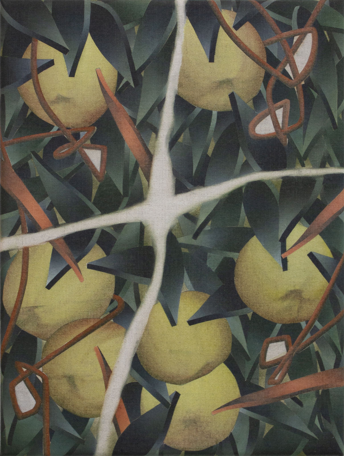 László von Dohnányi, A bunch of yellow apples, 2023