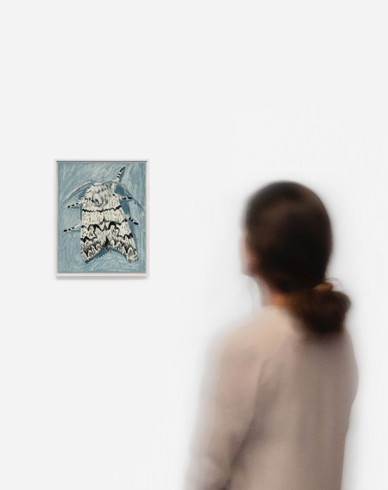 Claudia Keep, July 23rd, 11:35 PM, American Dagger Moth, 2024