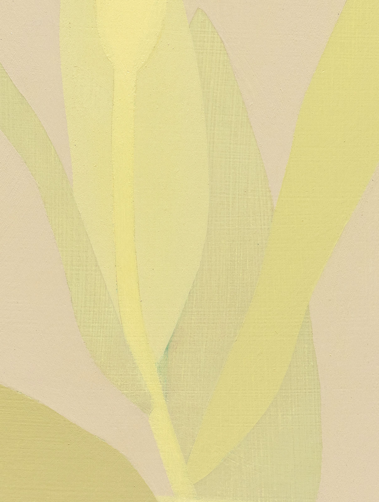 Manuel Stehli, Untitled (Tulip 3), 2023