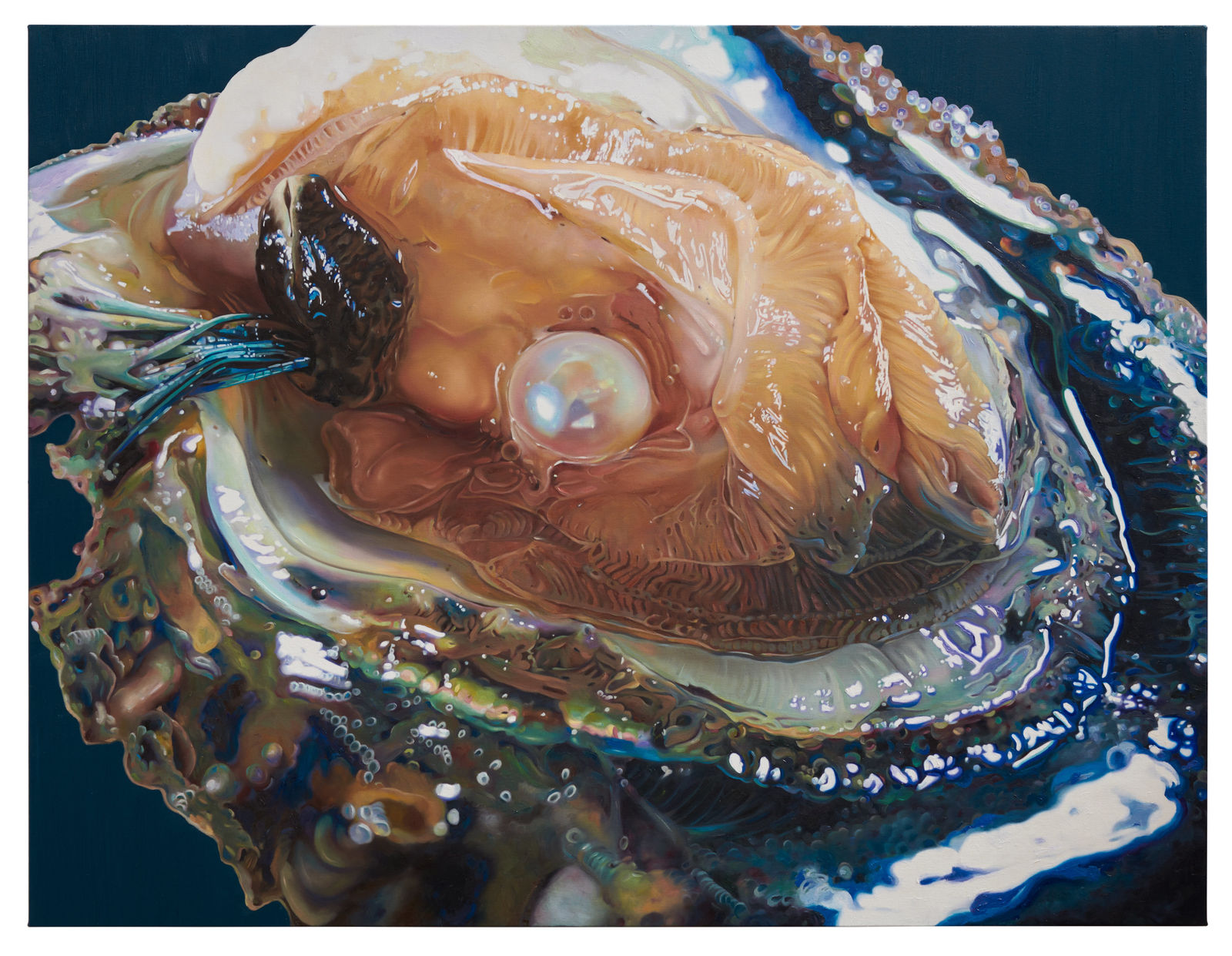 Fawn Rogers, Electric Oyster, 2021