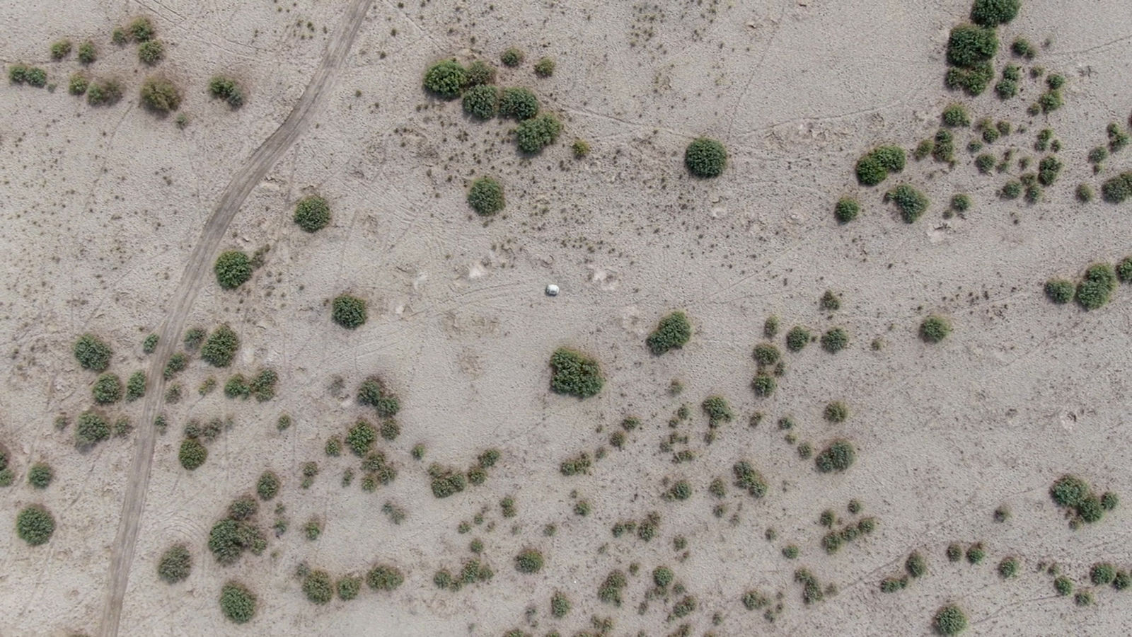 Liu Xin, The White Stone, 2021