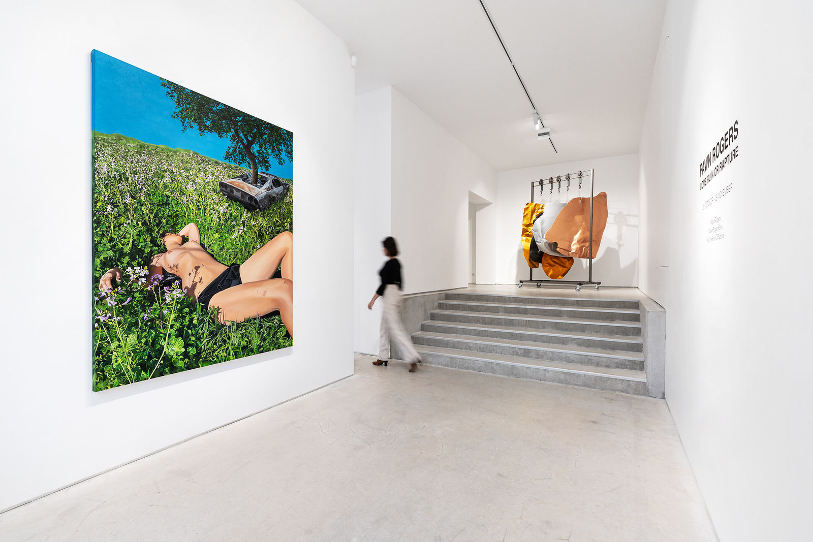 Fawn Rogers, Come Ruin or Rapture (Christina's world), 2023