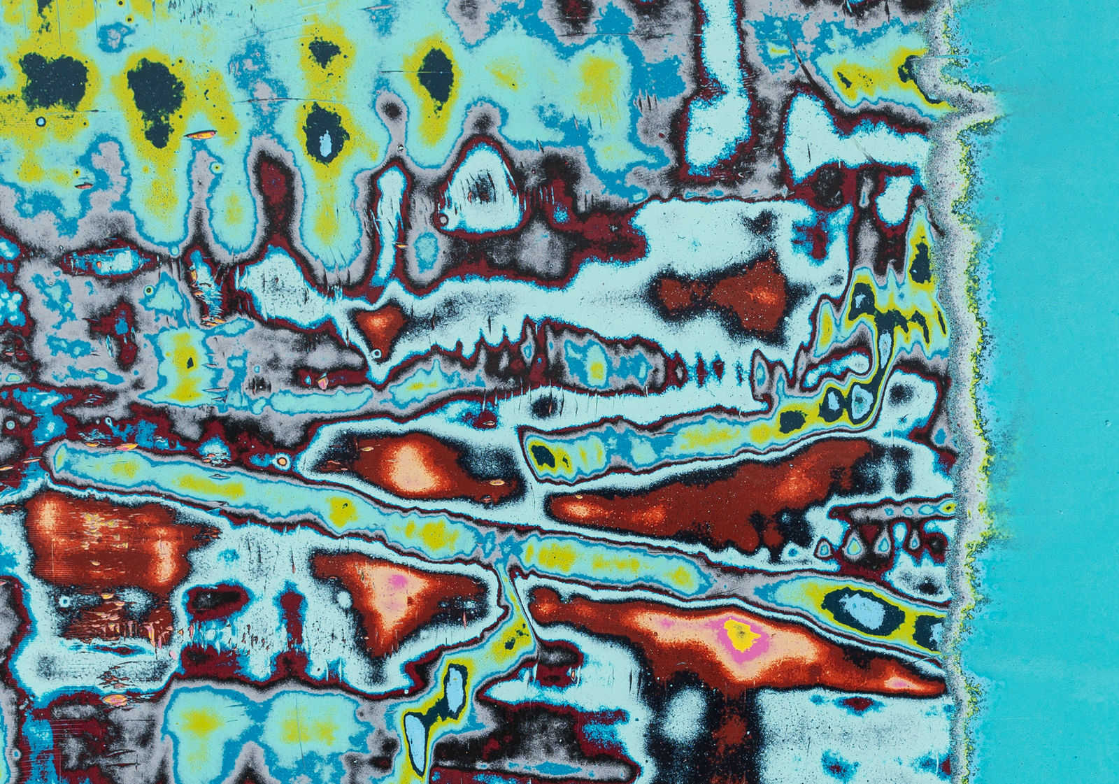 Dennis Miranda Zamorano, Metamorphosis: Two Spatial exercise, 2024