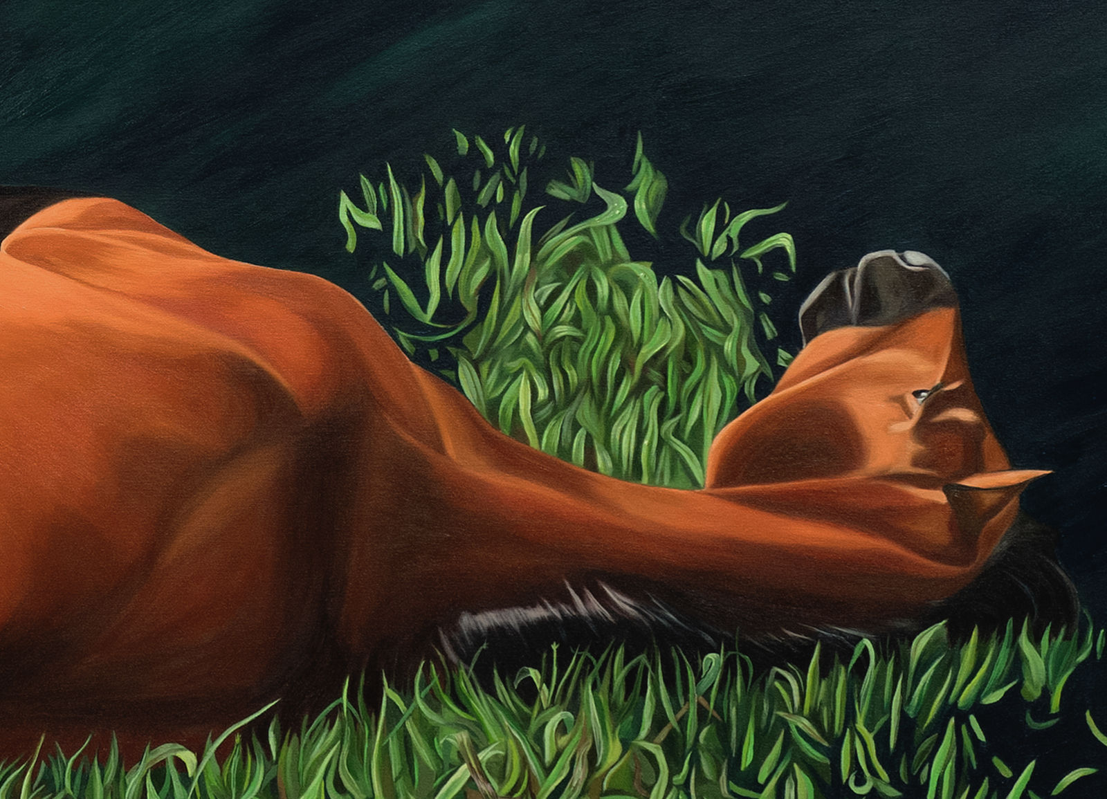 Fawn Rogers, My Happy Horse, 2023