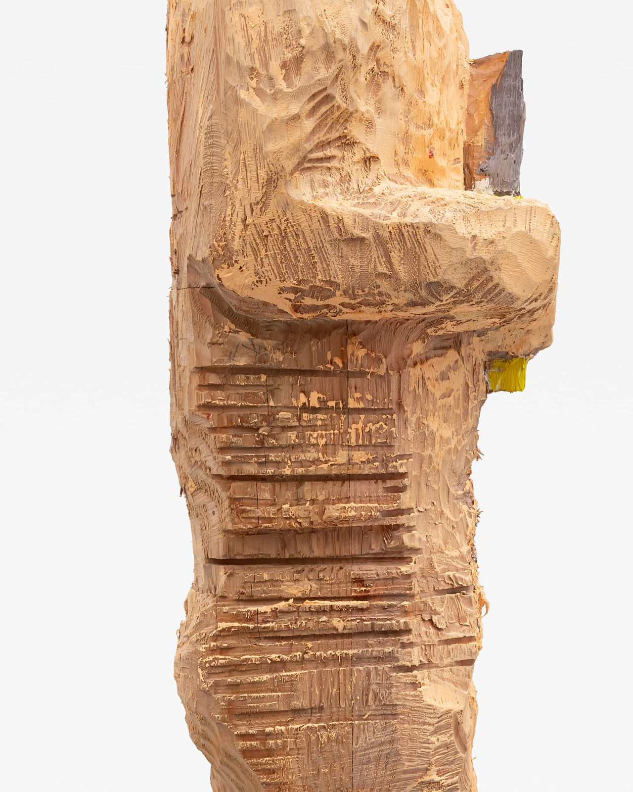 Shinya Azuma, Muteki human(Because he can't lose anymore), 2024