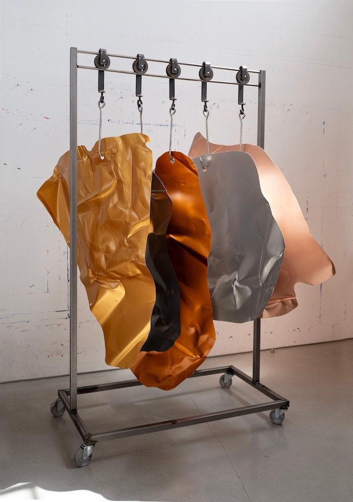 Fawn Rogers, Car Meat (Akhal Teke), 2023