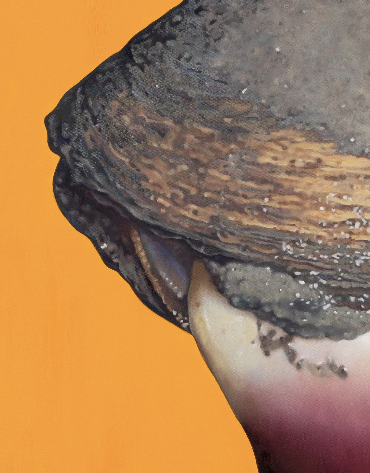 Fawn Rogers, Happy As A Clam #1, 2021