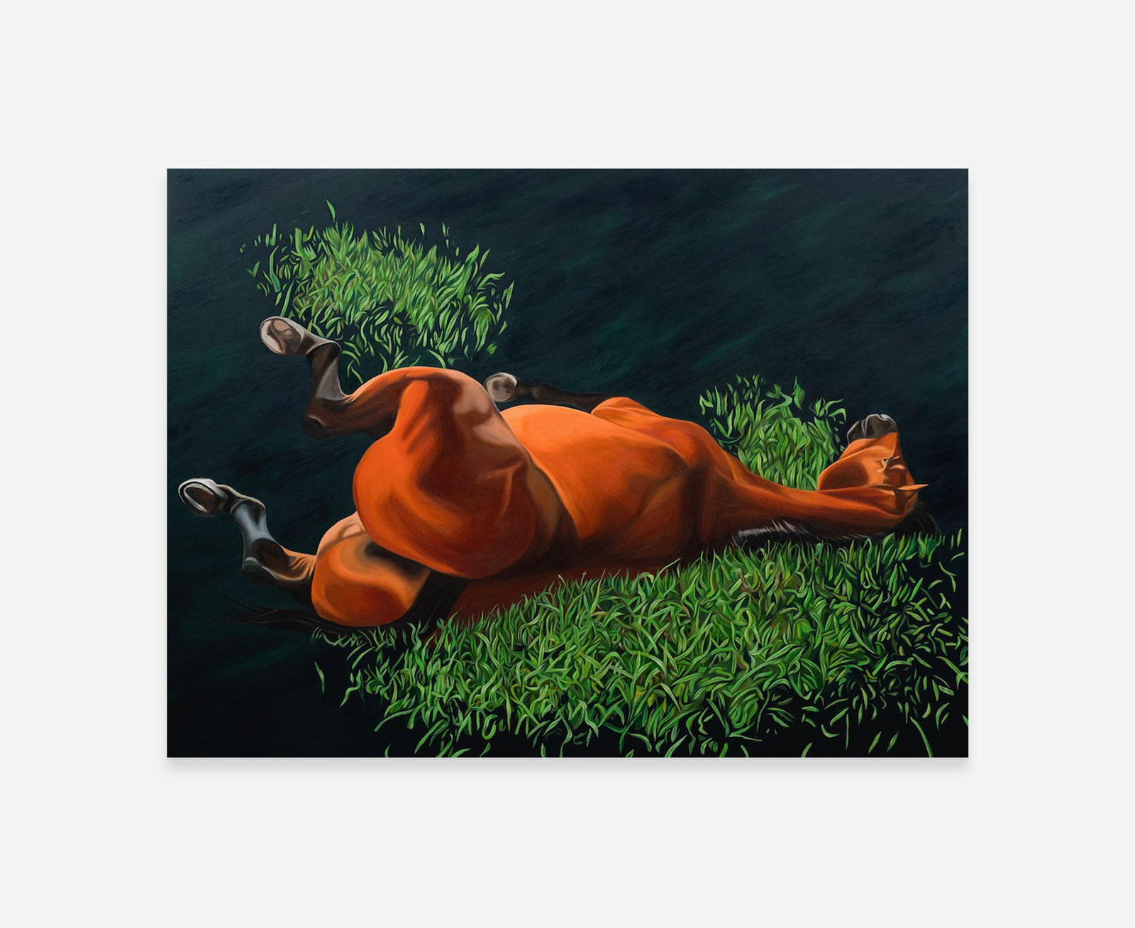 Fawn Rogers, My Happy Horse, 2023