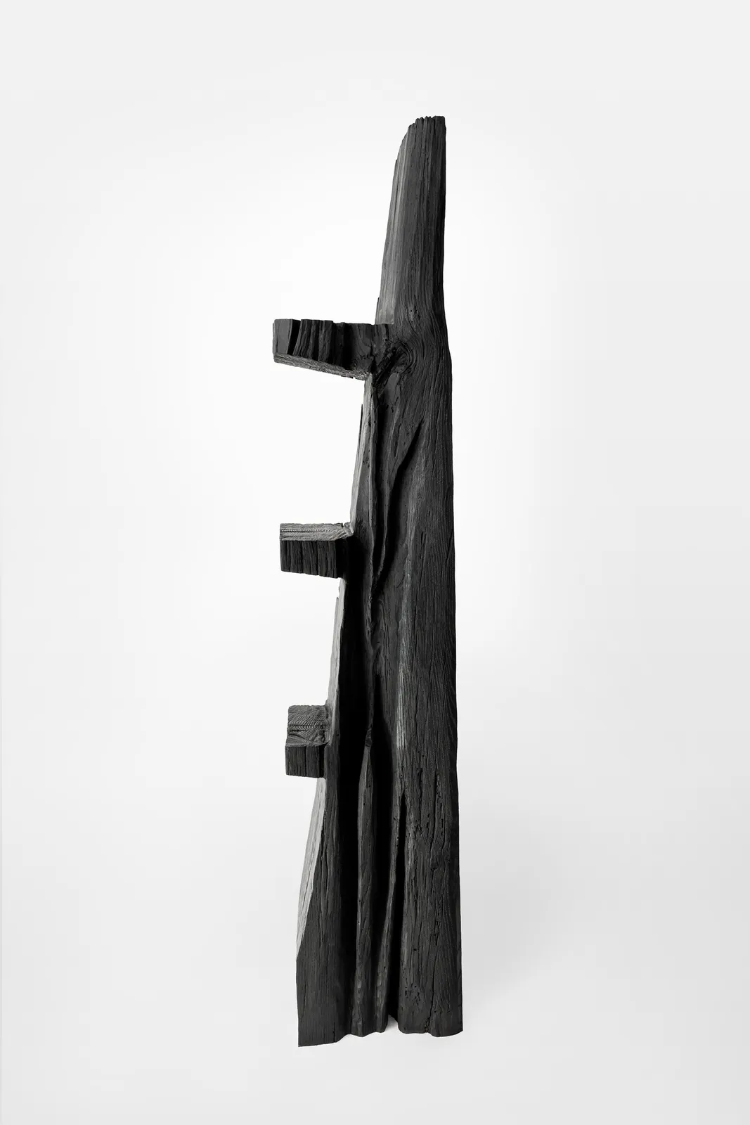 Patrick Kim-Gustafson, Ladder Shelf, 2024