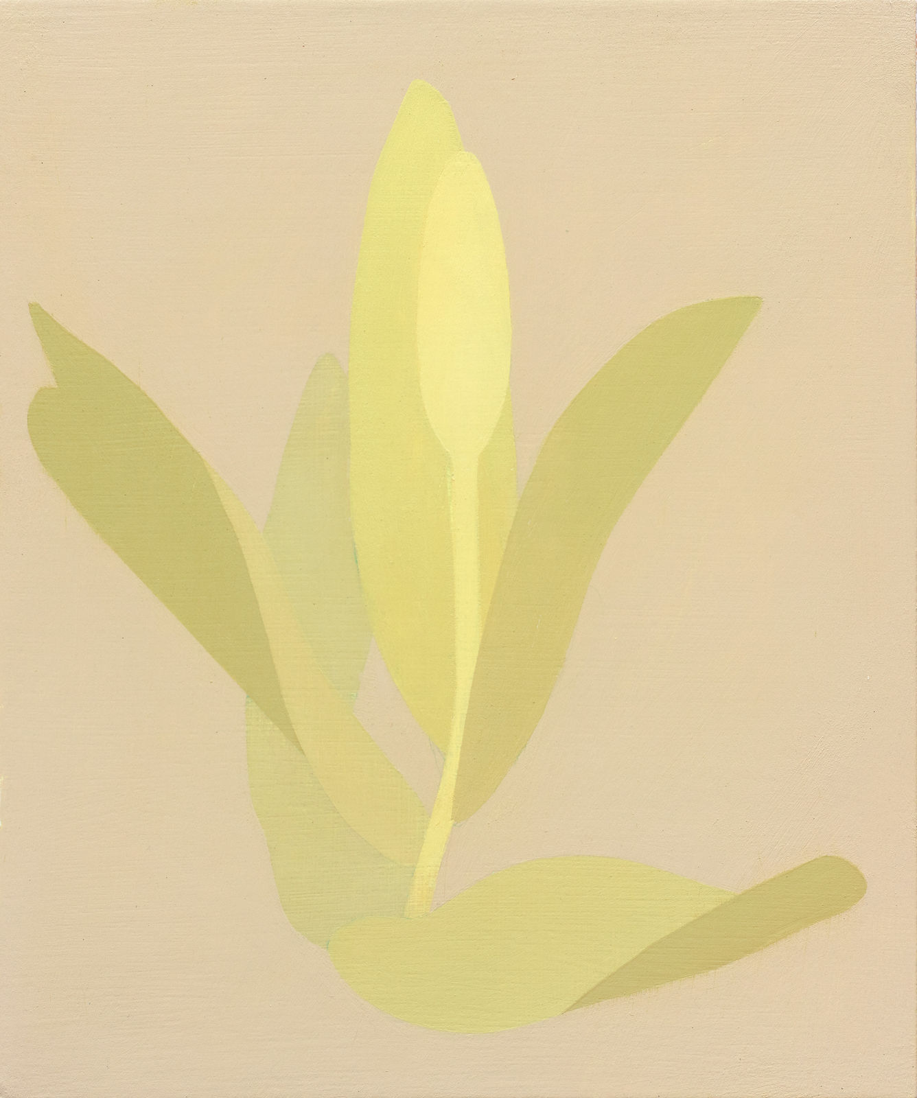 Manuel Stehli, Untitled (Tulip 2), 2023