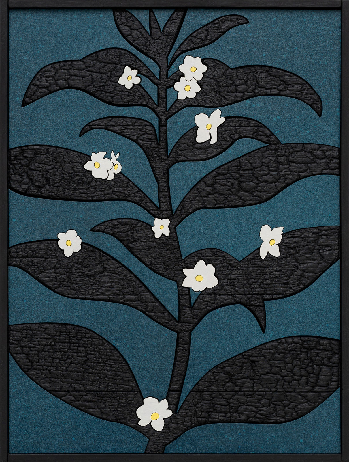 Laurent Pernot, Blooming from the dark, 2025