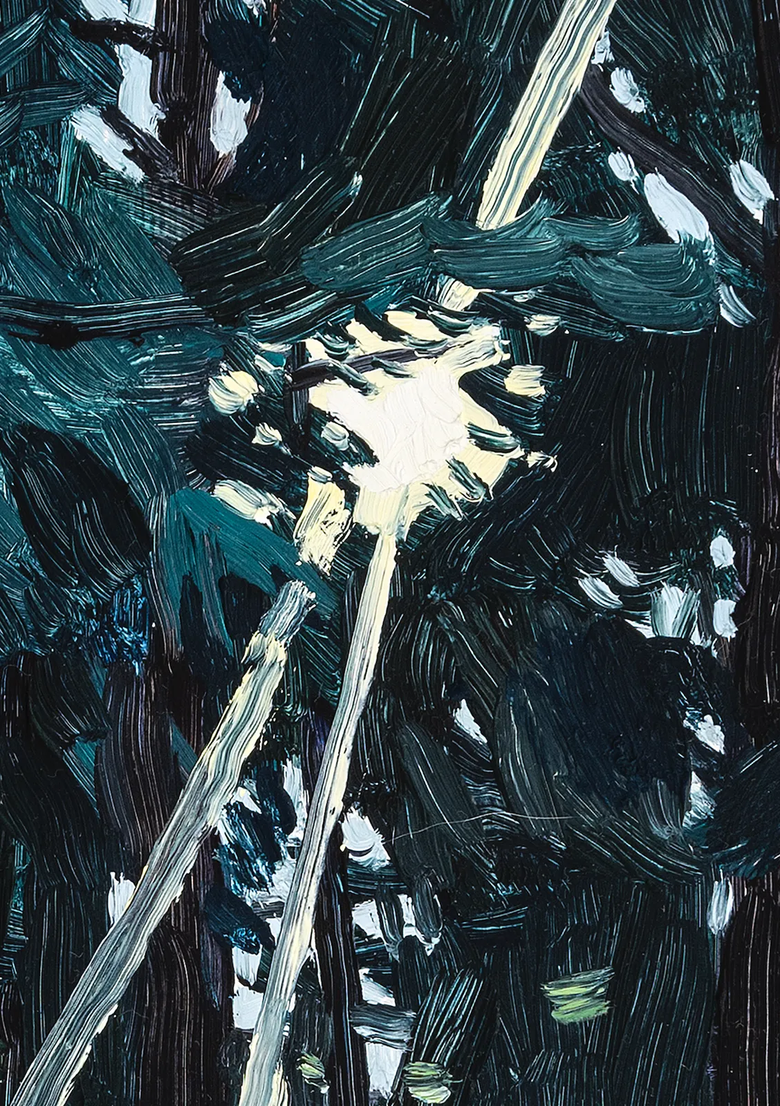 Claudia Keep, Late Afternoon Light Through The Trees, 2022