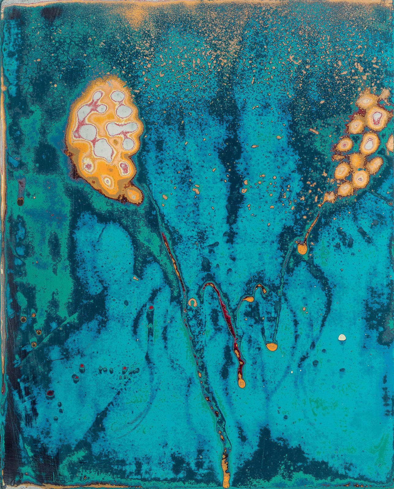 Dennis Miranda Zamorano, Portrait of an Insect, 2024