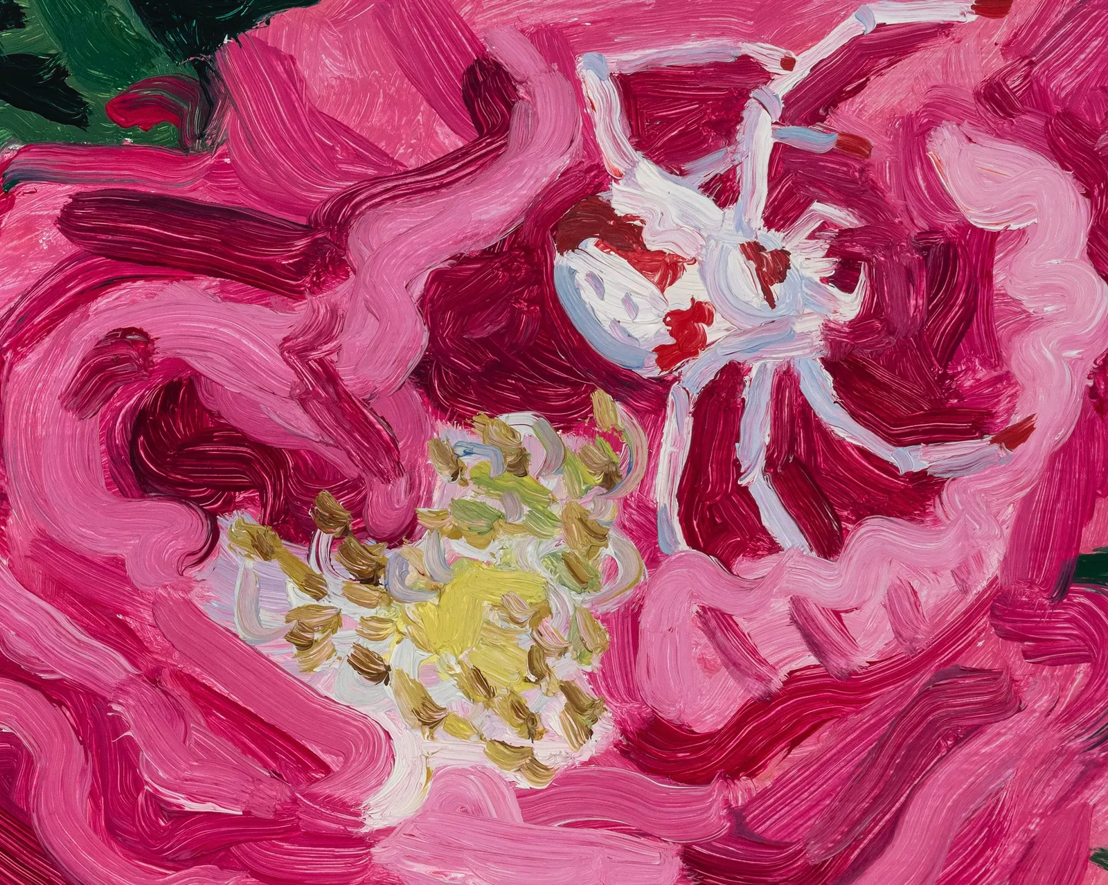 Claudia Keep, Rose With Crab Spider, 2024