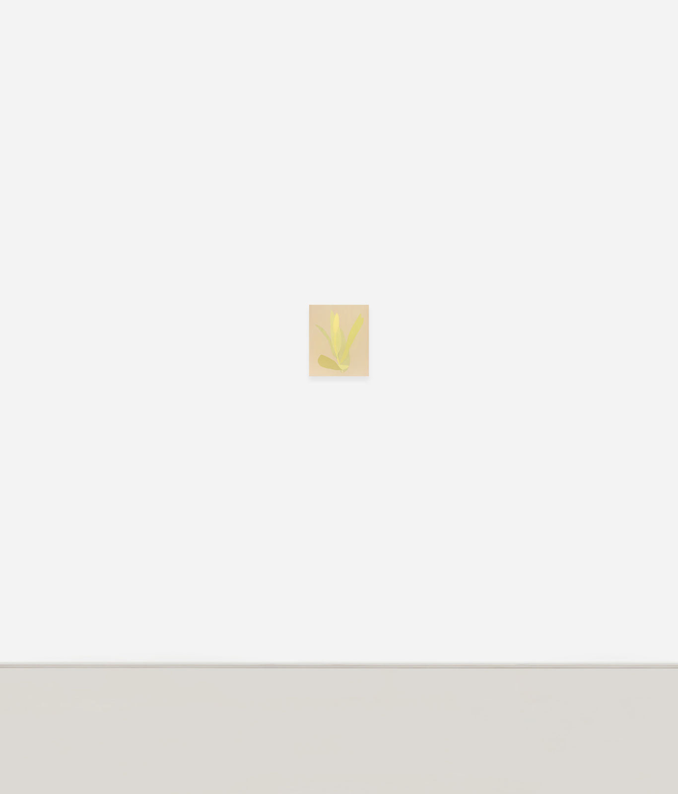 Manuel Stehli, Untitled (Tulip 3), 2023