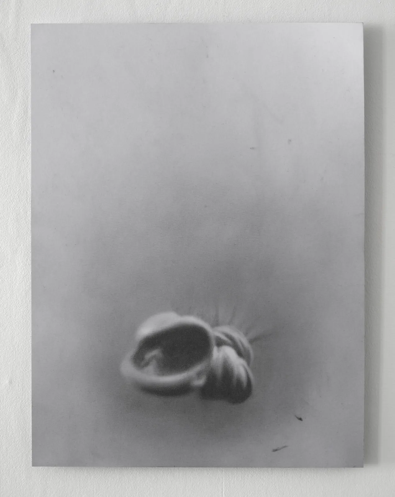 ZHANG Yunyao, Spirit, water drop and the light (4), 2021