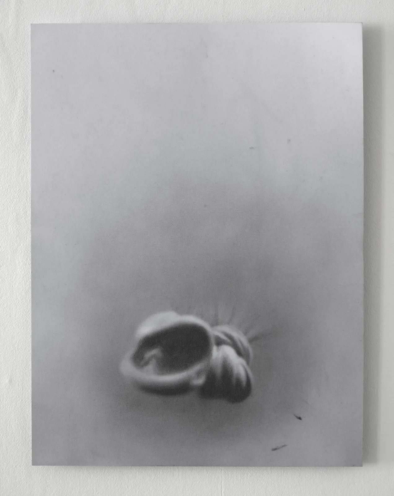 ZHANG Yunyao, Spirit, water drop and the light (4), 2021