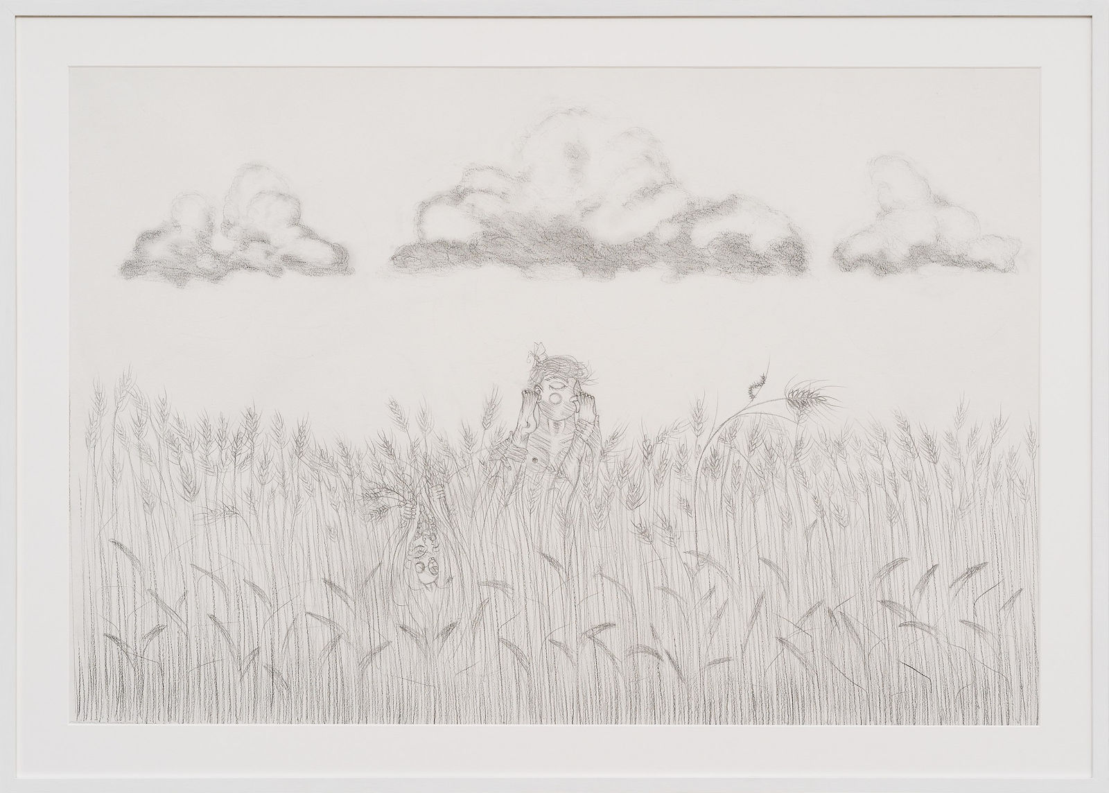 Oh de Laval, In the field, 2023