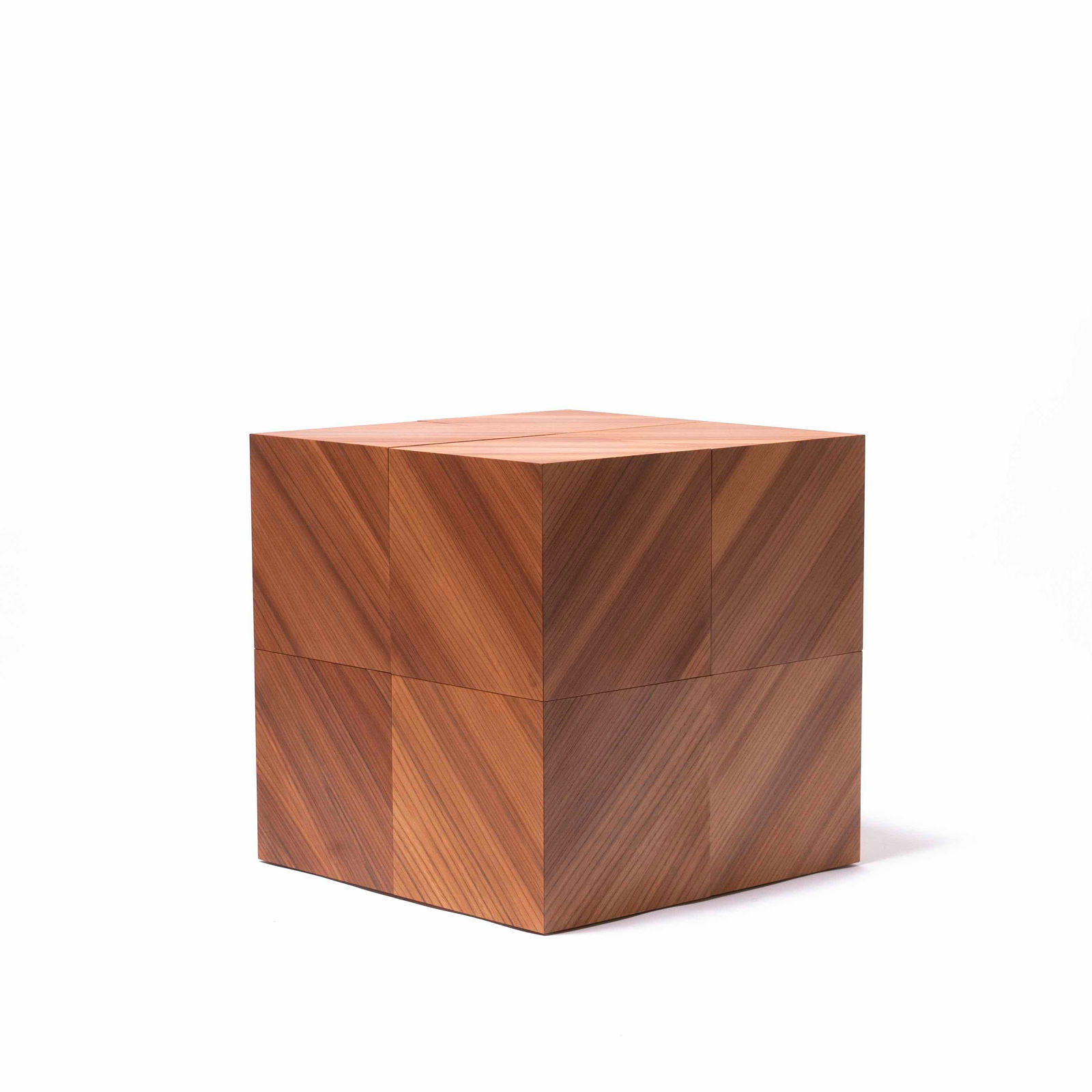 Rasmus Fenhann, Magnetic Elm, 2022