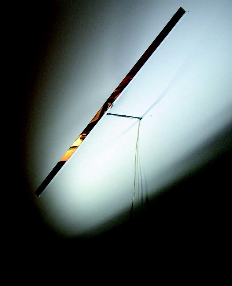 Timo Salli, Mirrod, 2010