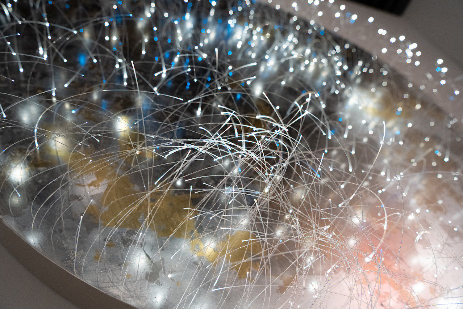 Astrid Krogh, Planet, 2021