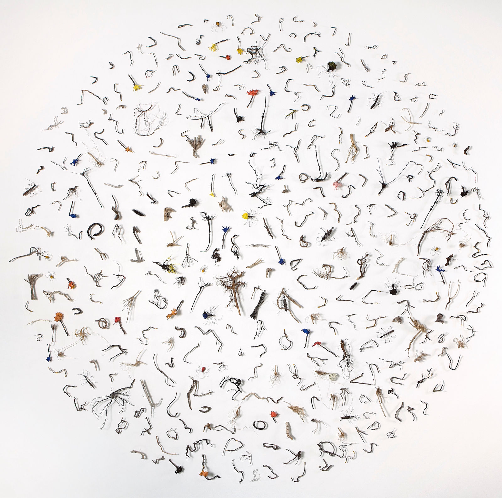 Gjertrud Hals, Rondo, 2005 – 2008