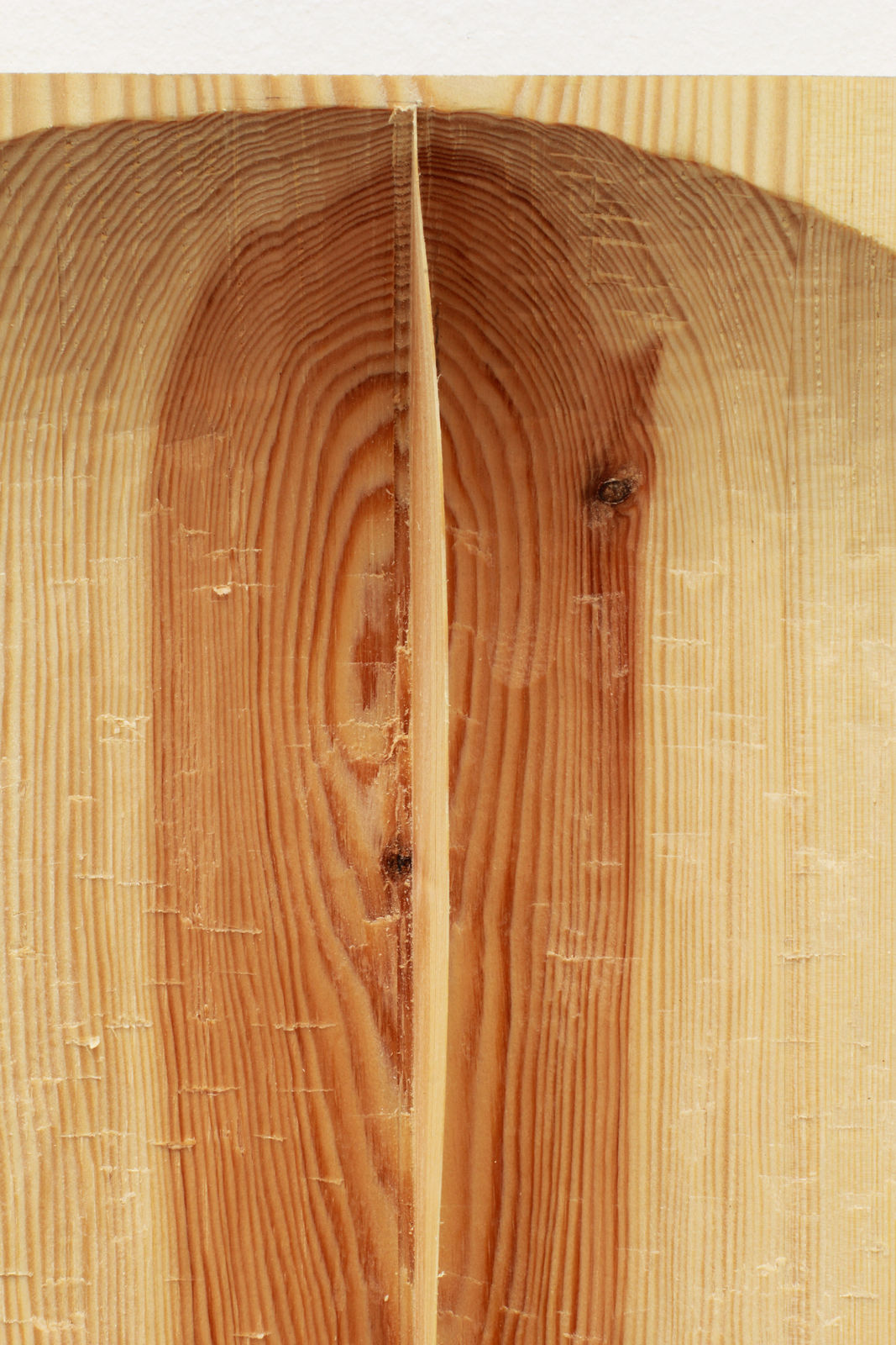 Eske Rex, Untitled. Divided Circle, 2018