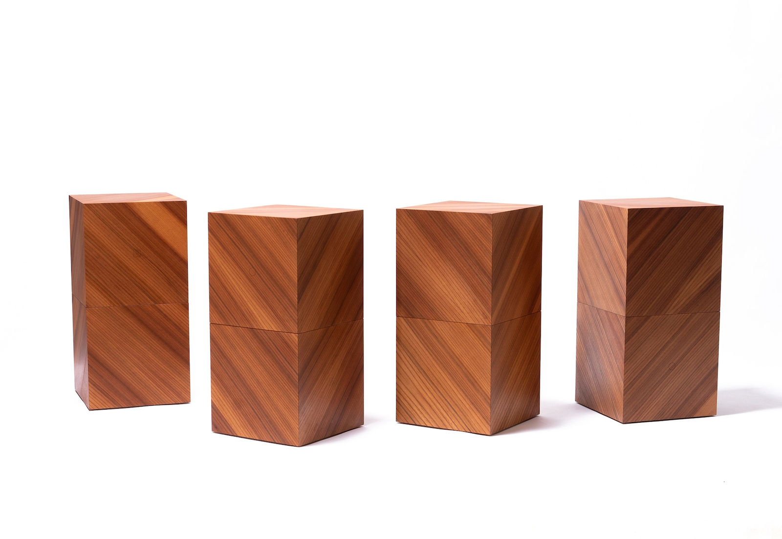 Rasmus Fenhann, Magnetic Elm, 2022