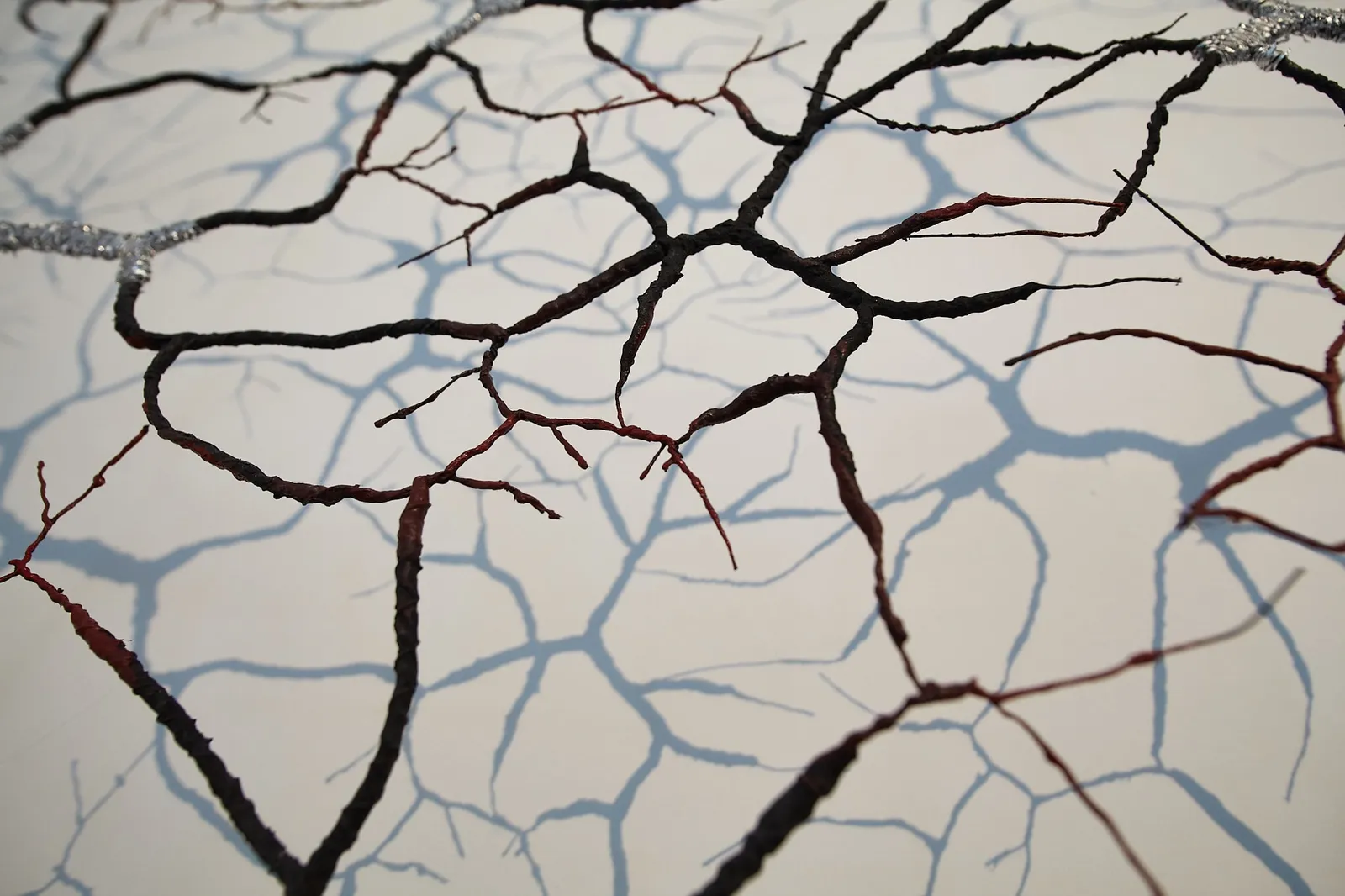 Gjertrud Hals, Synapse, 2023