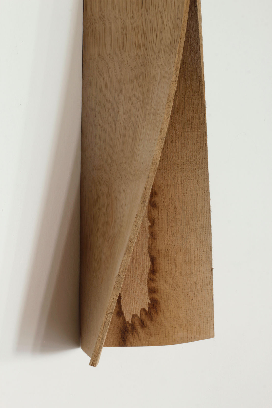 Eske Rex, Unfolded Plank XV, 2018