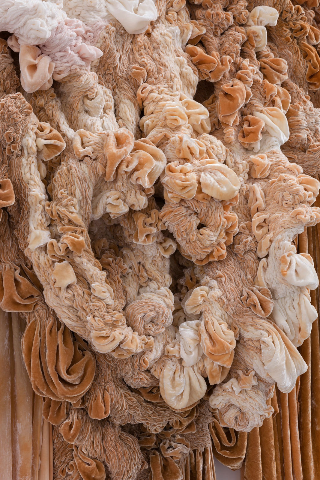 Hanne Friis, Trophy, 2015-16