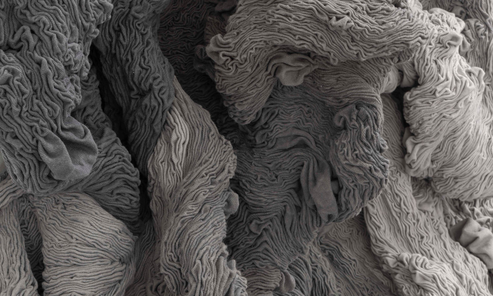 Hanne Friis, The Juice from the Trees II, 2019