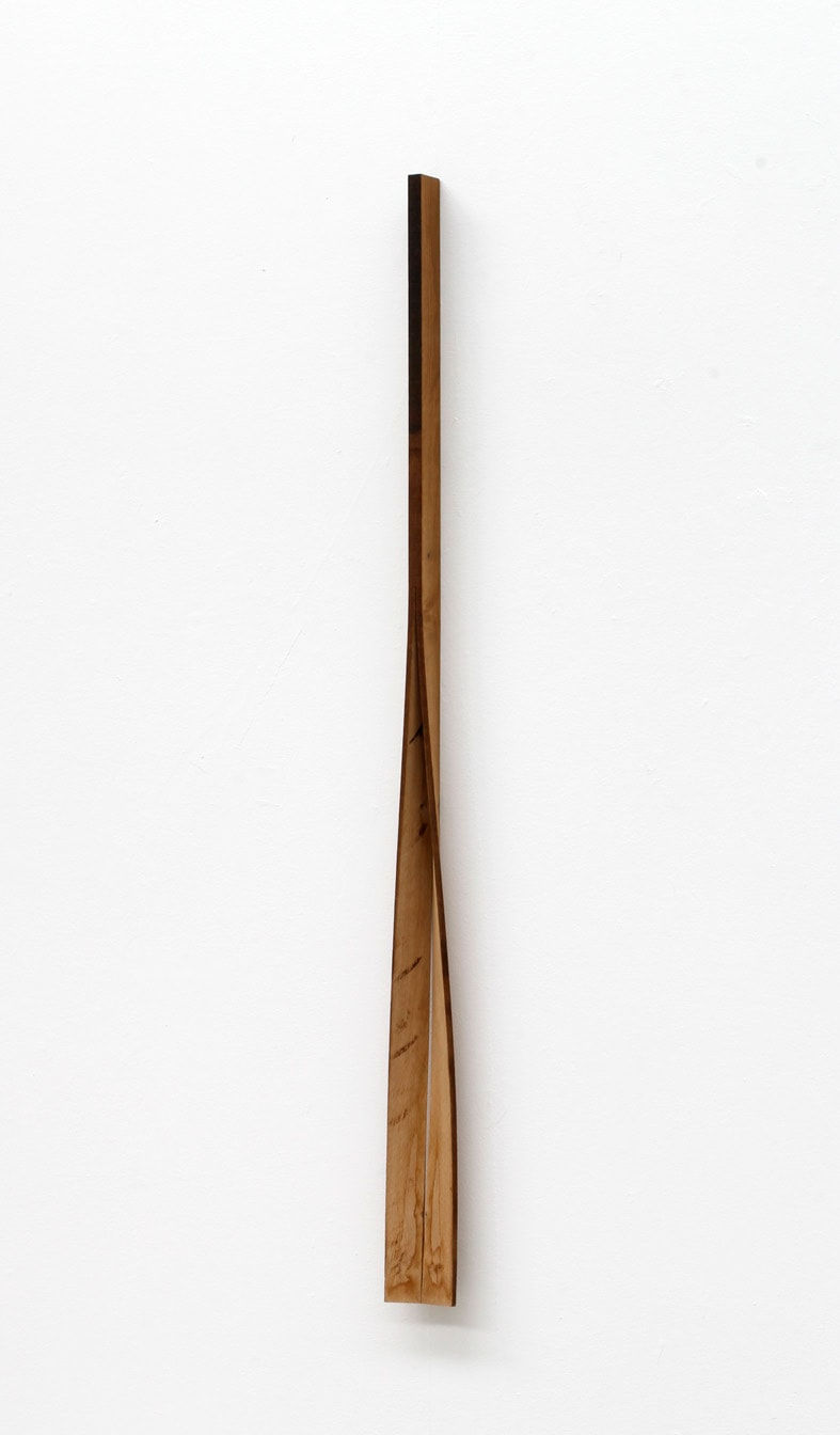 Eske Rex, Unfolded Plank VI, 2016