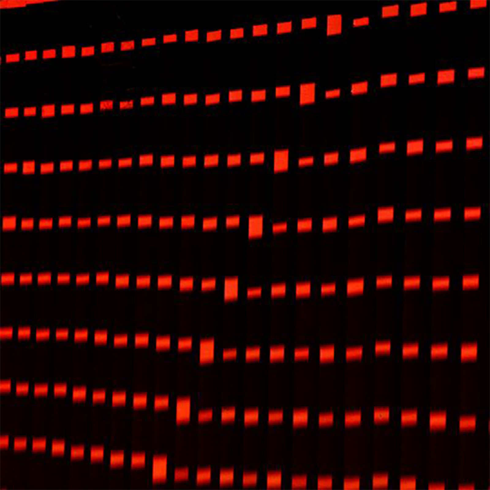 Donaldo Barros, Código Asimétrico #2, 2019