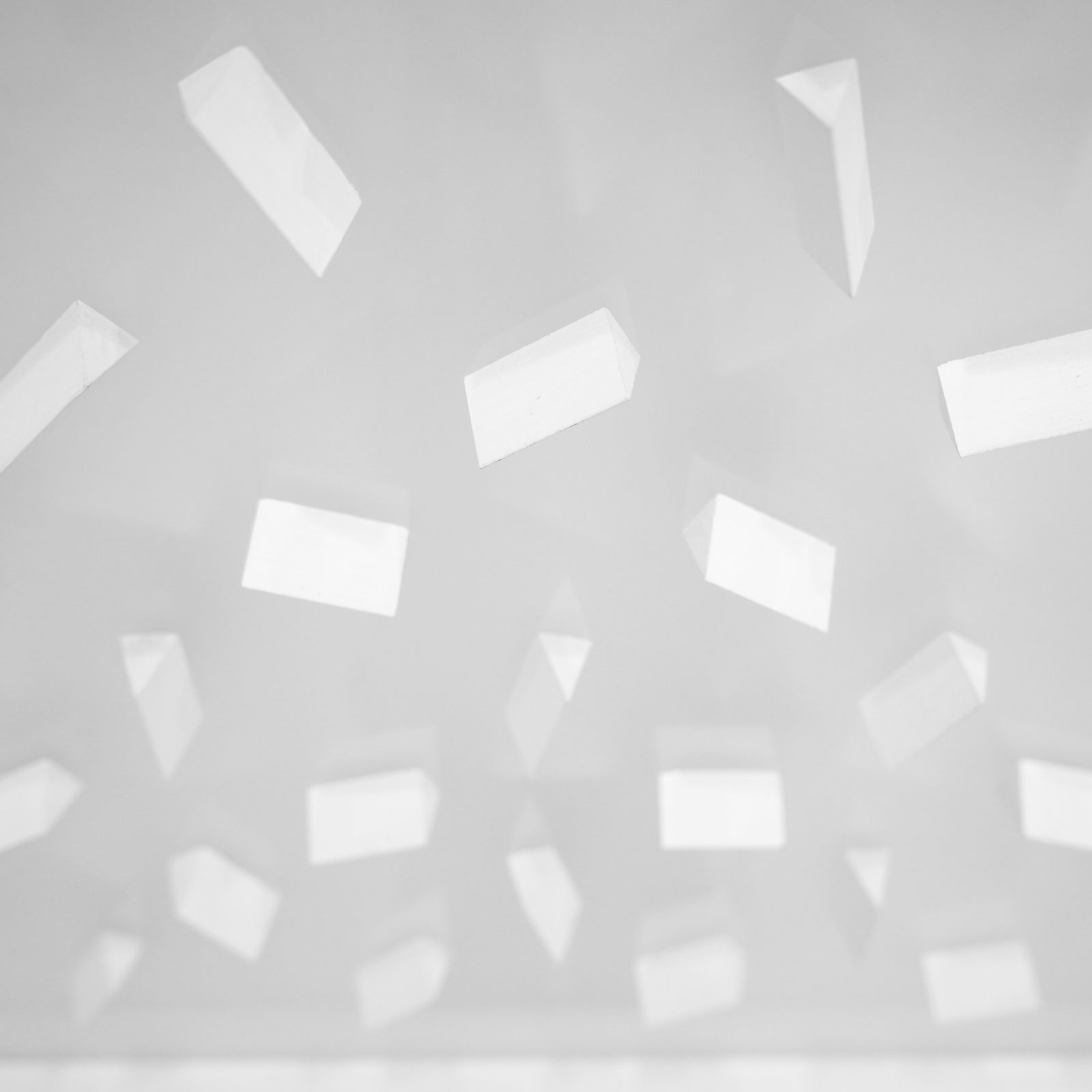 Klaus Staudt, WR (O) 334/989, 2005