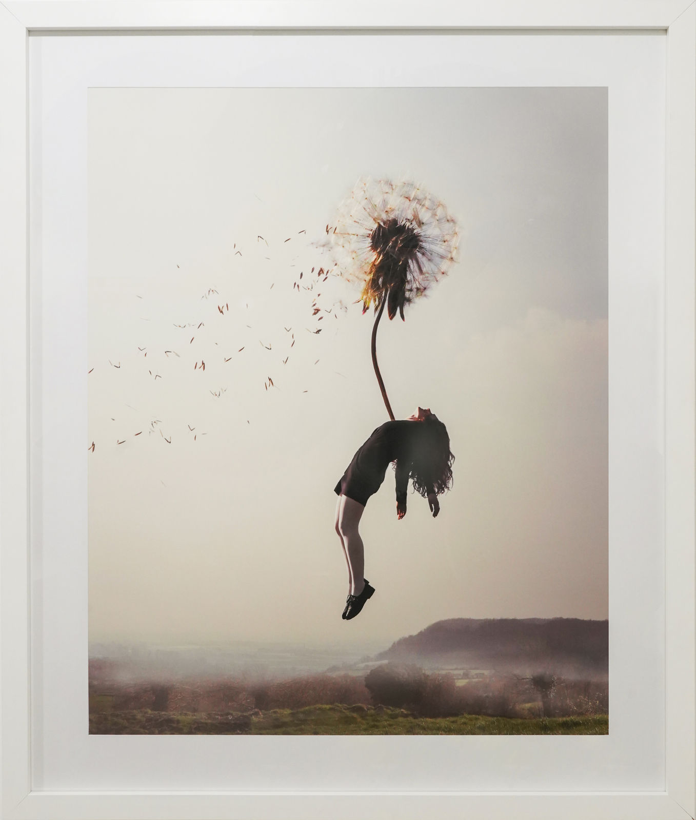 Maia Fiore, Sleep Elevations V, 2011