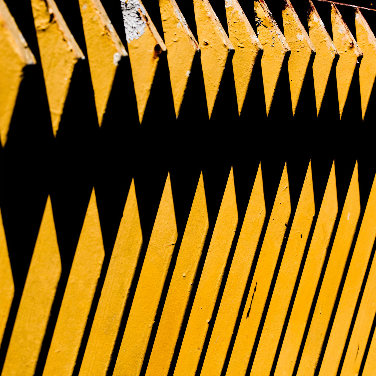 Donaldo Barros, Asimetría #39, 2019