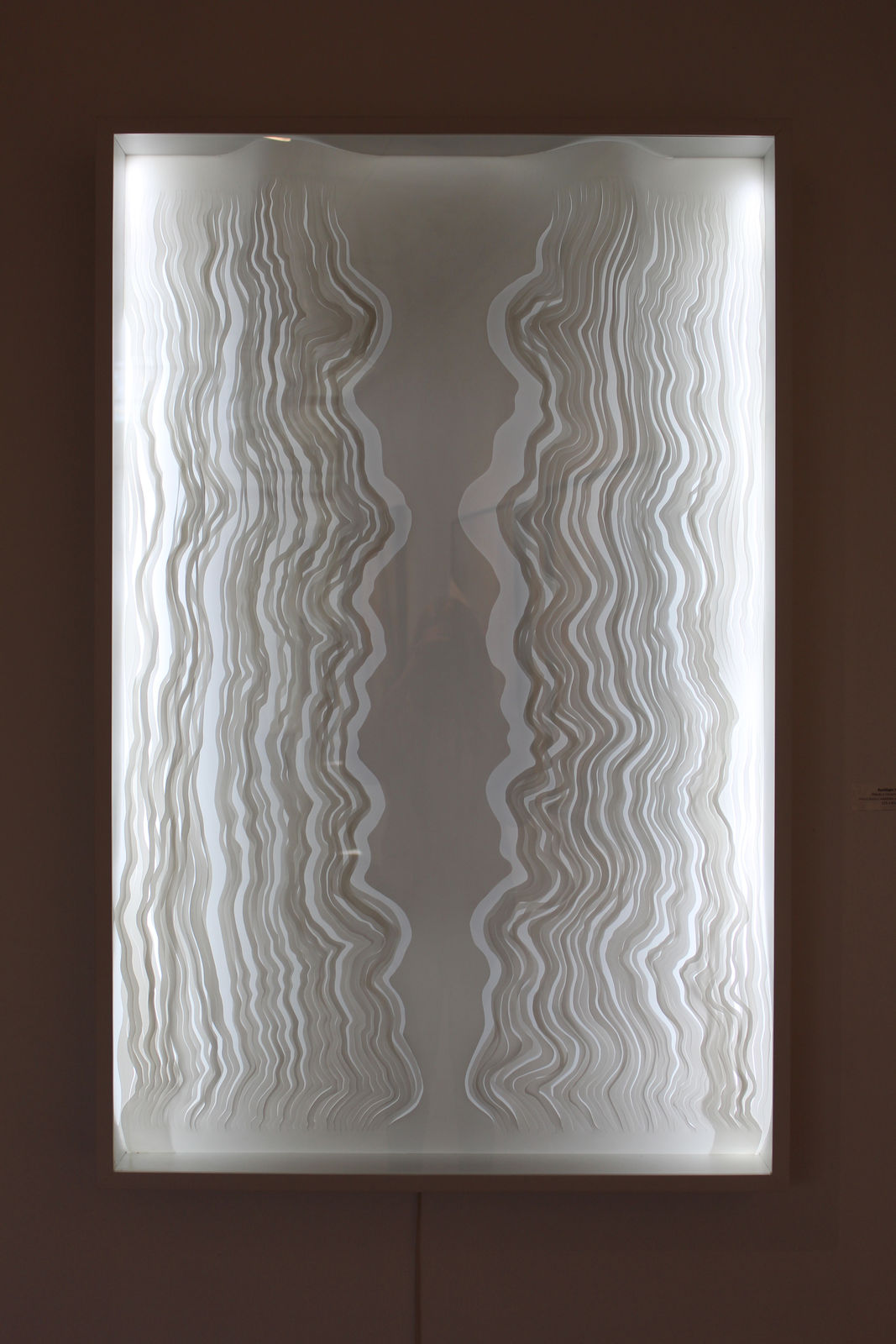 Solange Heilenkotter, Backlight Doow, 2022