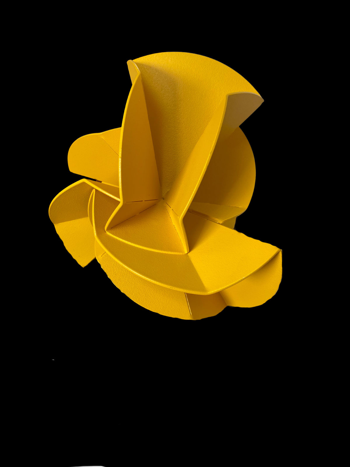 Verónica Matiz, Flor de cayena amarilla, 2024