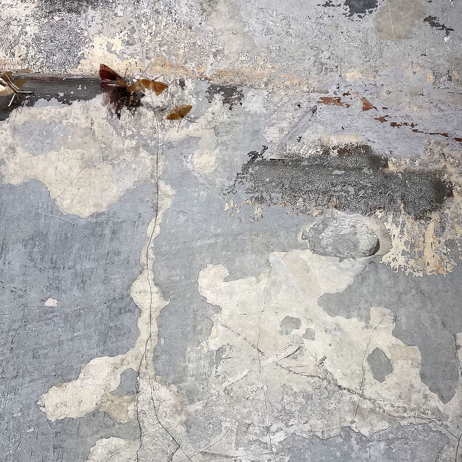 Reeva Potoff, Wallpaper for 21st Century, 2021-2022