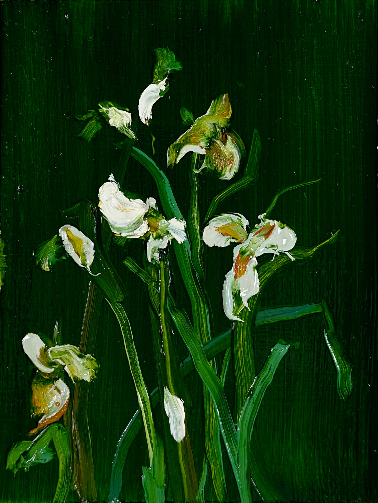 Tess Michalik, Itty, 2024