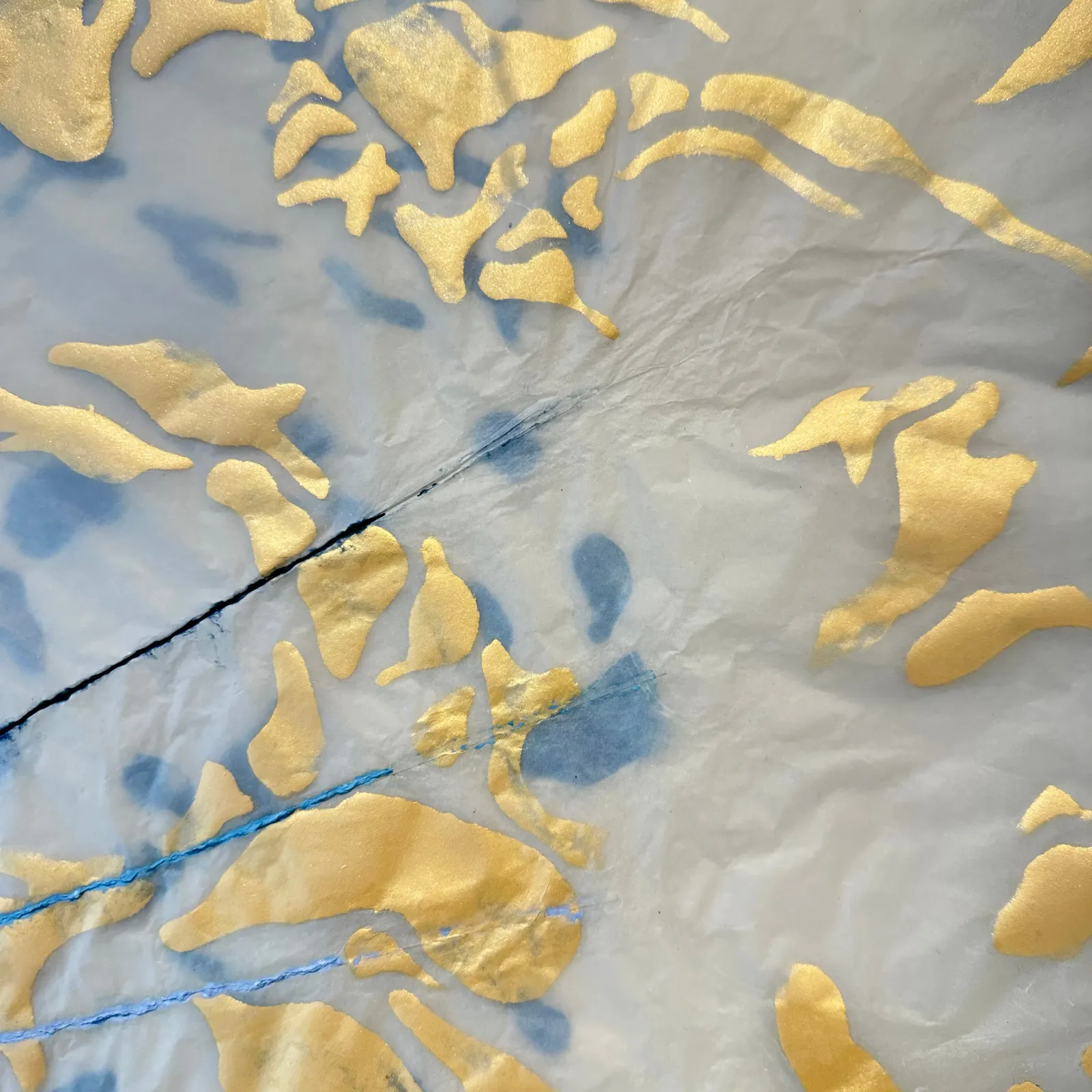 Nancy Cohen, Sight Lines, 2023