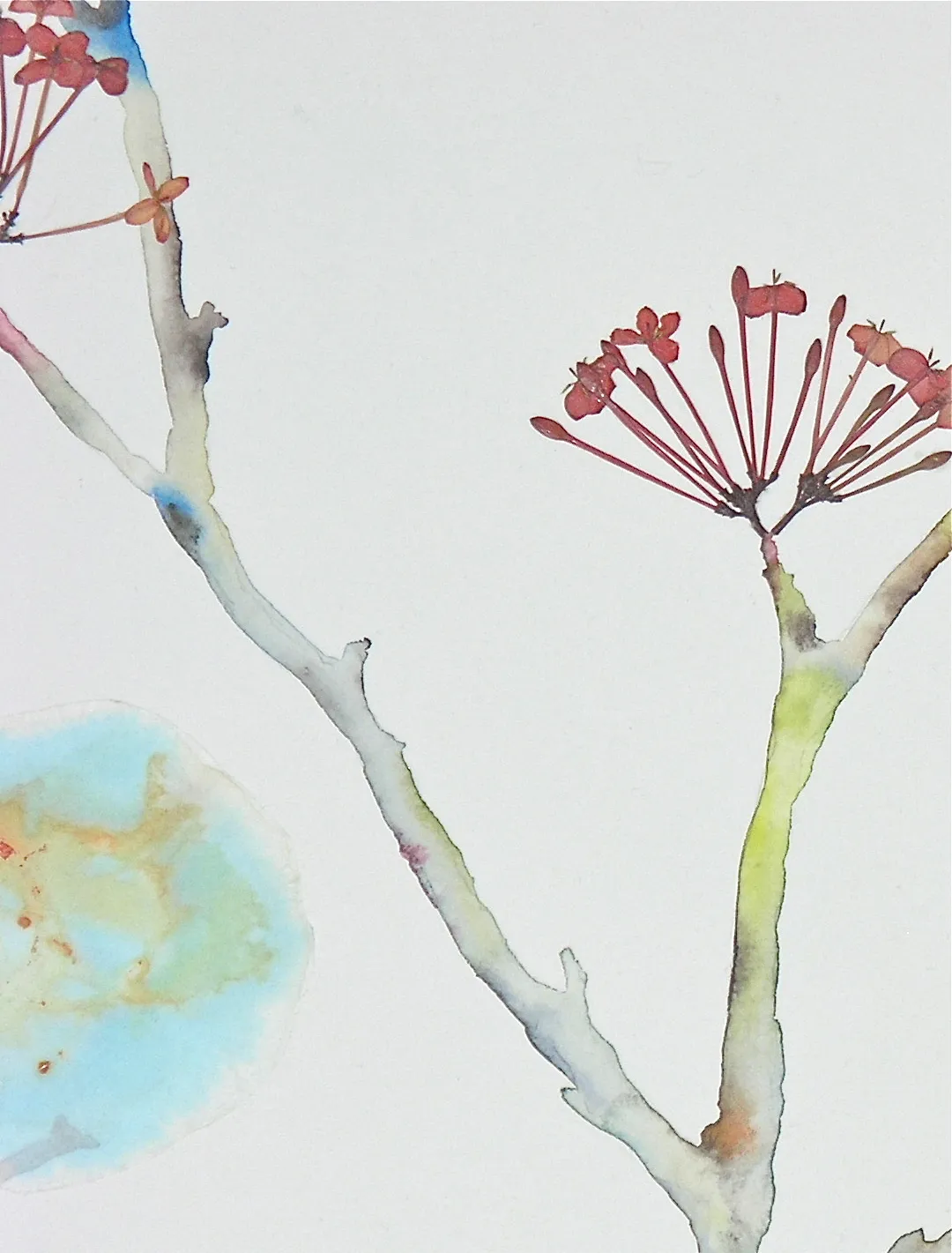 Marilla Palmer, Flying Over the River, 2019