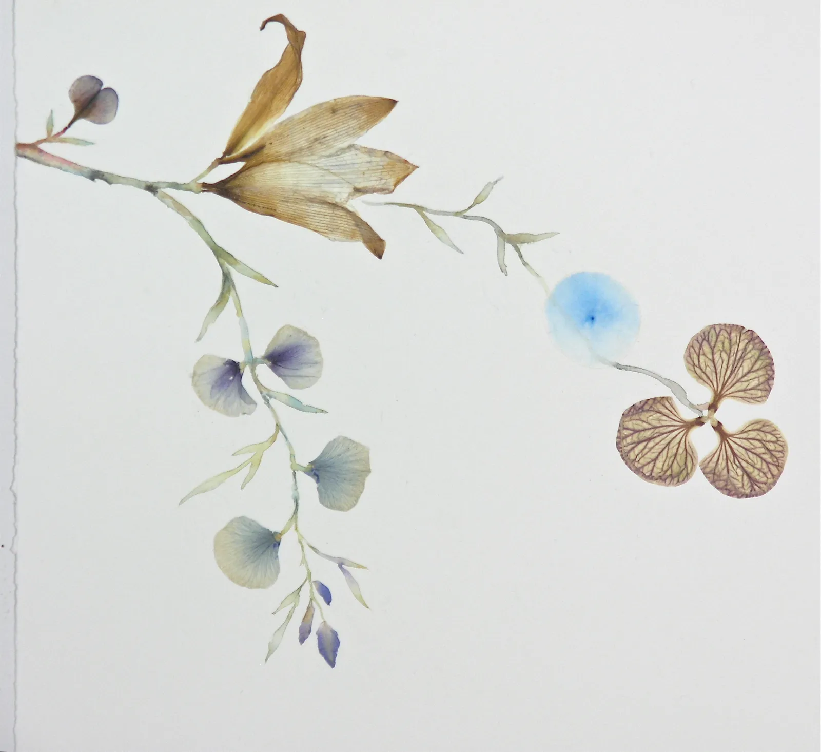 Marilla Palmer, Flying Over the River, 2019