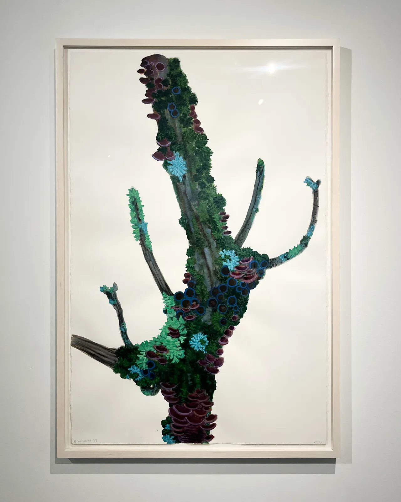 Katie DeGroot, Opinionated ll, 2025