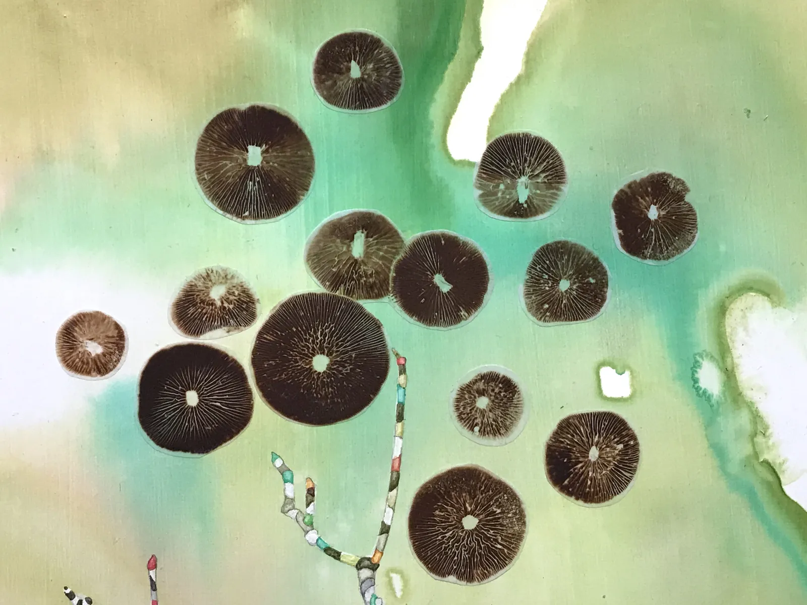 Marilla Palmer, Dangling Iris, 2013