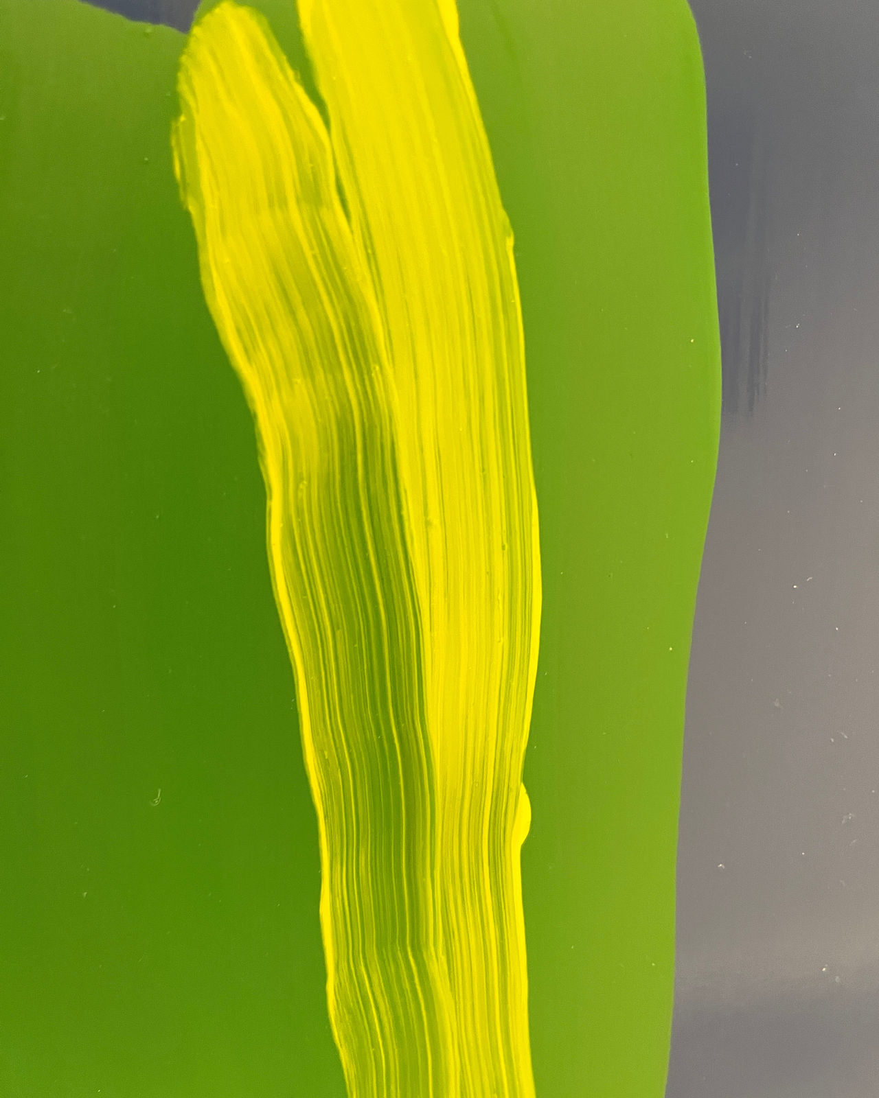 Laura Bidwa, Greening 8, 2024