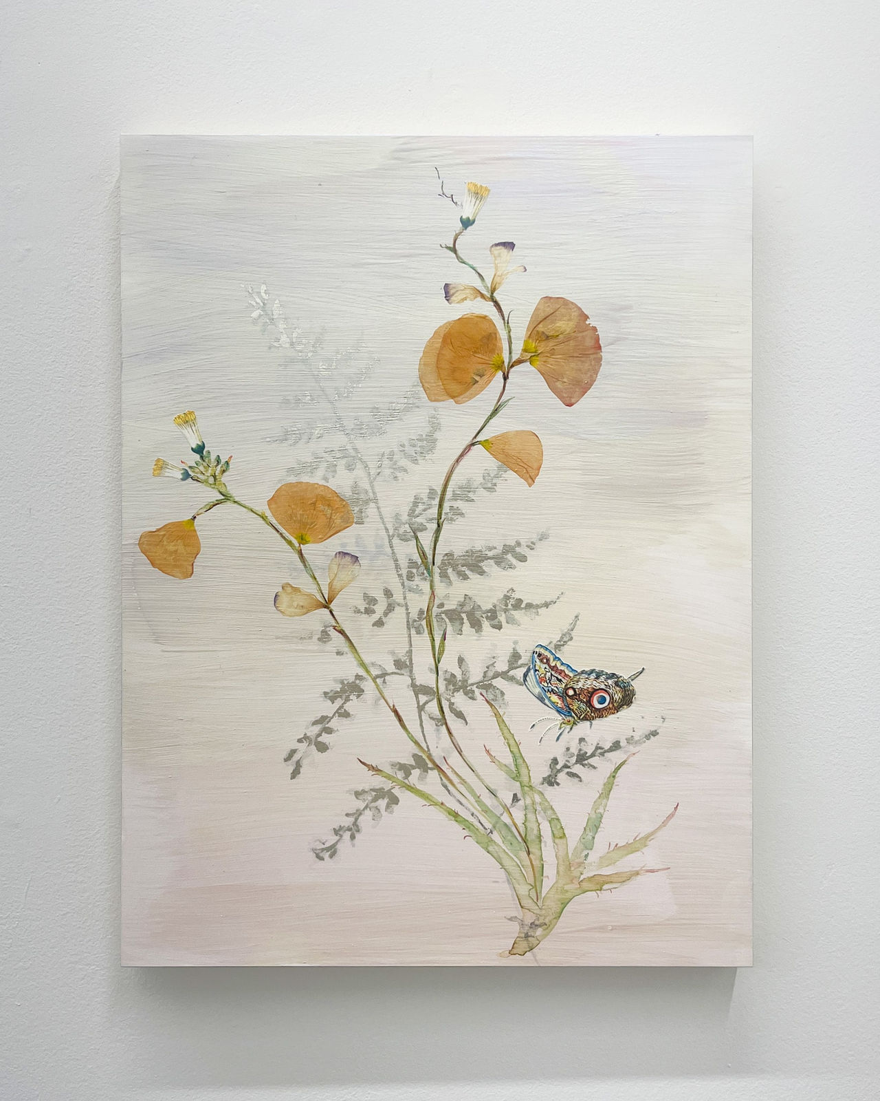 Marilla Palmer, The Impermanence of Light, 2025